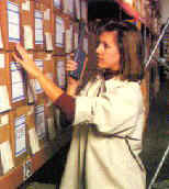 jobpic2.jpg (9552 bytes)